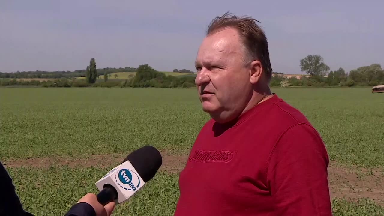 “Przy braku wody nic nie pomoże”. Susza w Polsce doprowadzi do wzrostu cen żywności
