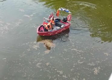 Katastrofa ekologiczna w Kanale Gliwickim: Pół tony śniętych ryb
