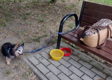 W Łodzi przywiązano starszego psa do ławki na skwerze