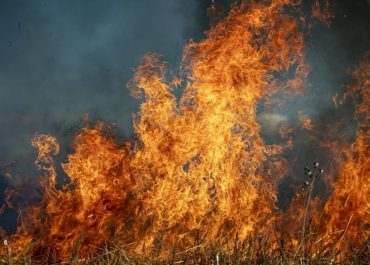 Greckie wakacje w płomieniach. Dramatyczna walka z pożarami na wyspach